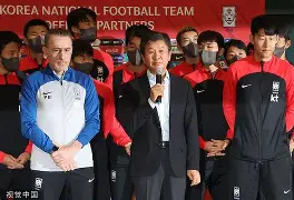 首尔球队精彩发挥,球迷热情支持度倍增的简单介绍 首尔球队精彩发挥,球迷热情支持度倍增的简单介绍