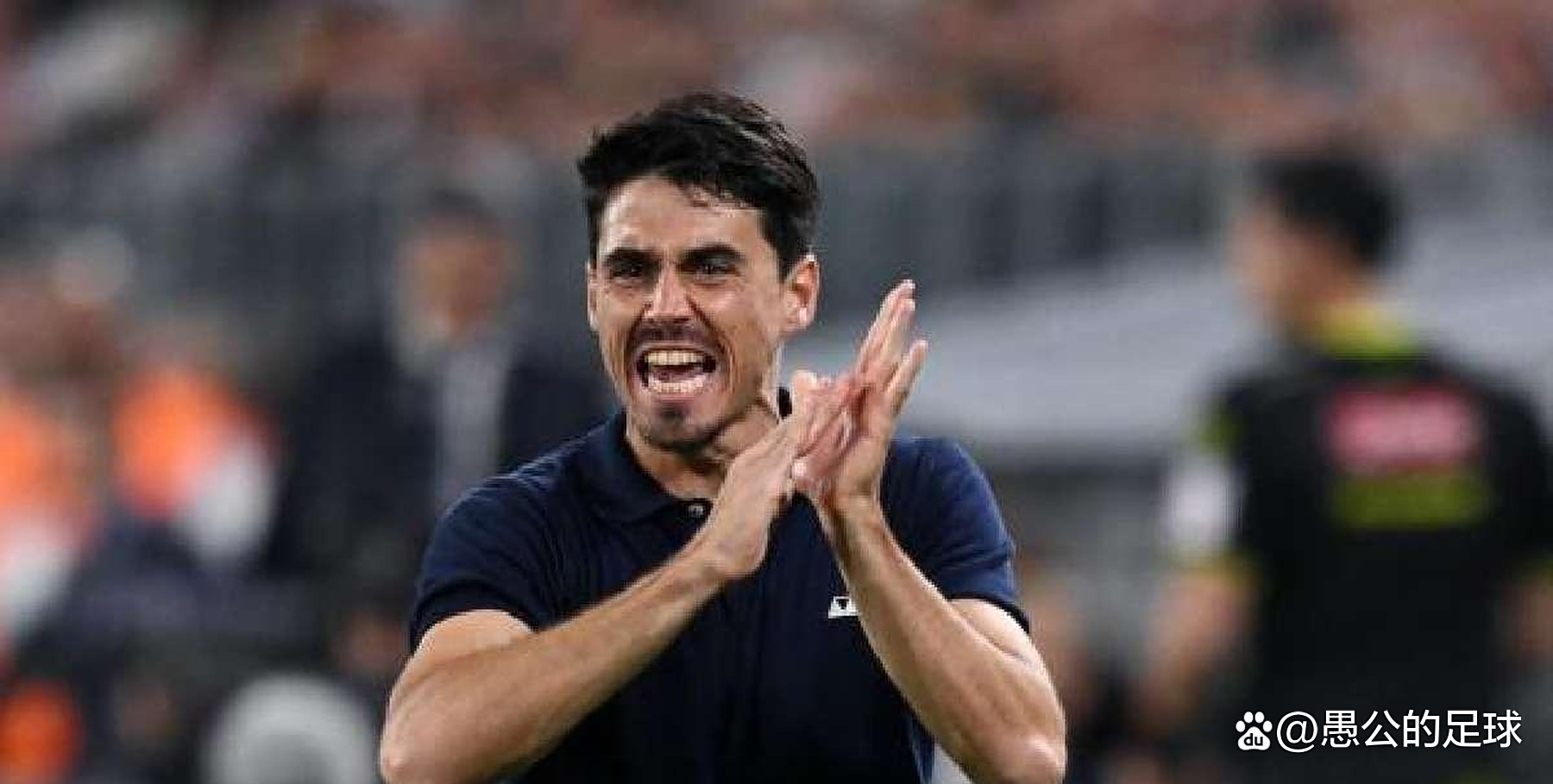 帕尔马主帅战术调整得当,球队实力得到提升的简单介绍 帕尔马主帅战术调整得当,球队实力得到提升的简单介绍