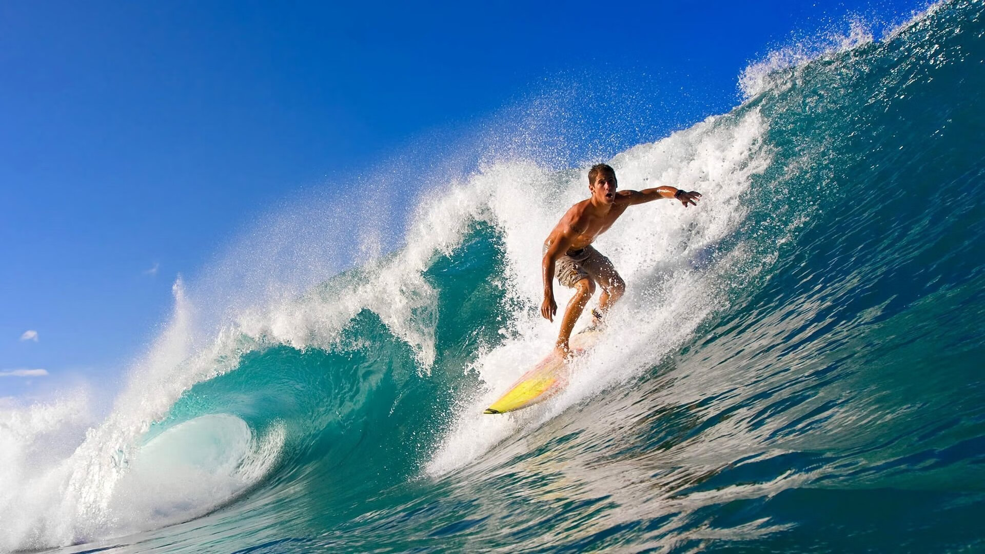 西亚卡姆连续得分拉开差距，深圳队淘汰赛过关奇才—跨越大洋的篮球启示录