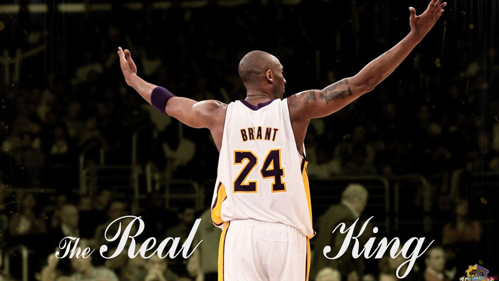 红牛险胜雷诺,勒克莱尔状态火热预示F1新格局?