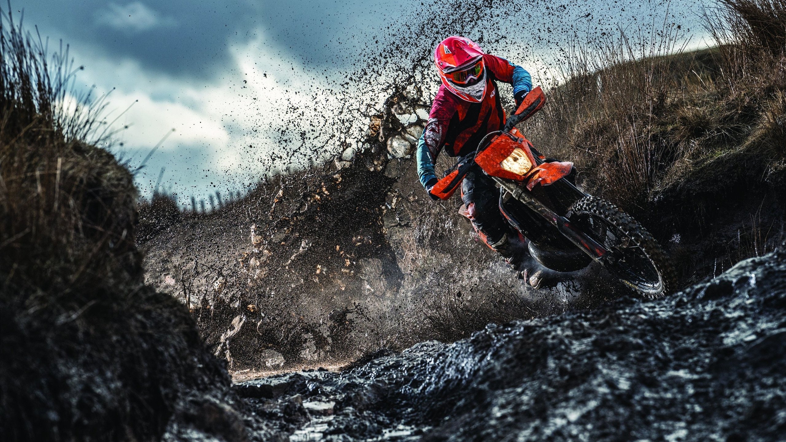 温网力克联合杯，辛纳点燃赛场，新王加冕与网坛变局